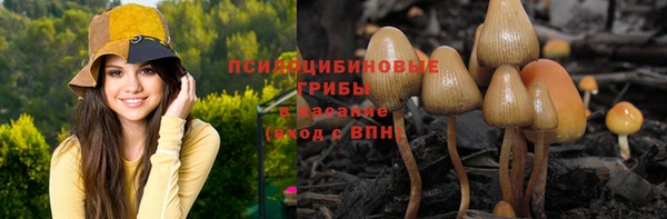 прущие крисы Алзамай