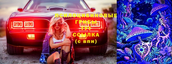 ECSTASY Пестово