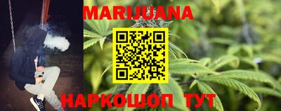 сатива Обнинск