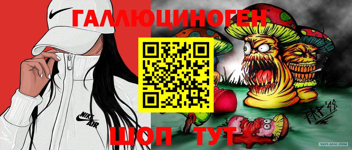 Псилоцибиновые грибы Cubensis Отрадное