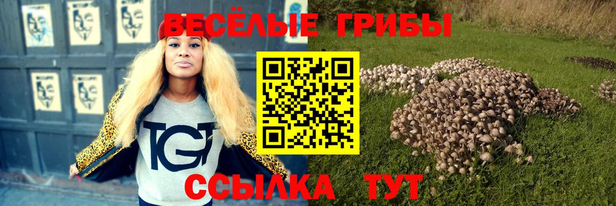 Отрадное  Галлюциногенные грибы MAGIC MUSHROOMS  Вход с VPN 